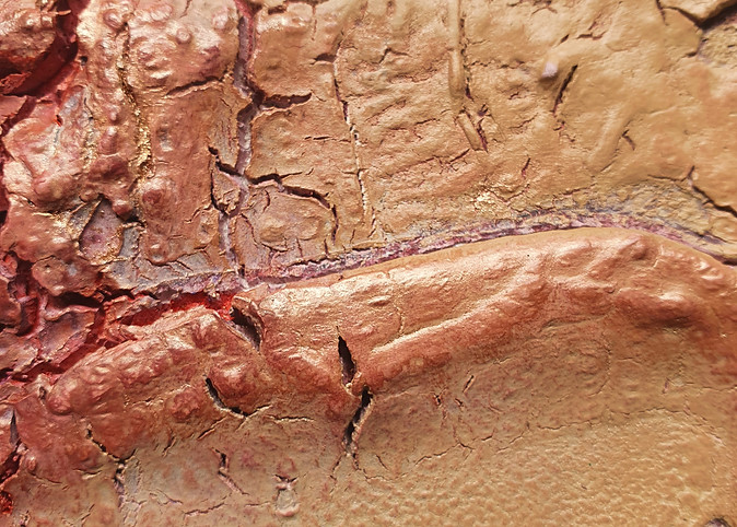 20200827_134202.jpg