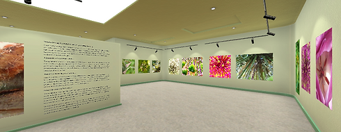 Virtual gallery2.png