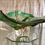 Thumbnail: Green Crystal Vase