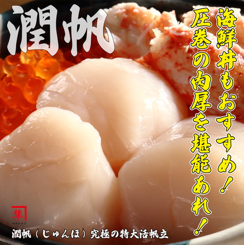 潤帆 (じゅんほ)究極の特大活帆立】 5kg/8枚前後 | カネショウ