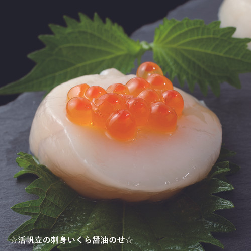 食品 はみ's 様専用野付産 活ホタテ10kg以上入り