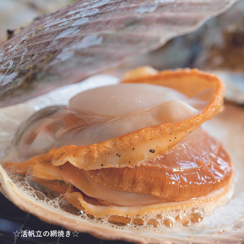 関西の方限定！漁師直送 野付産特大活ホタテ10キロ36枚前後 漁師直送！野付産天然特大活ホタテ 12キロ36枚前後
