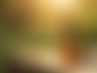 Emu Oil Benefits: Natural Body Care Solutions Revealed