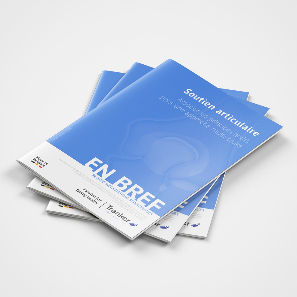 A5 Brochure Mockup