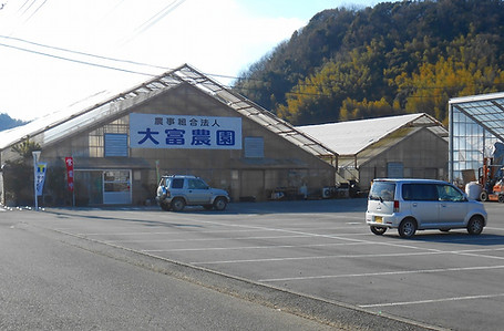 DSCN2922.jpg