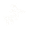 5_edited_edited.png