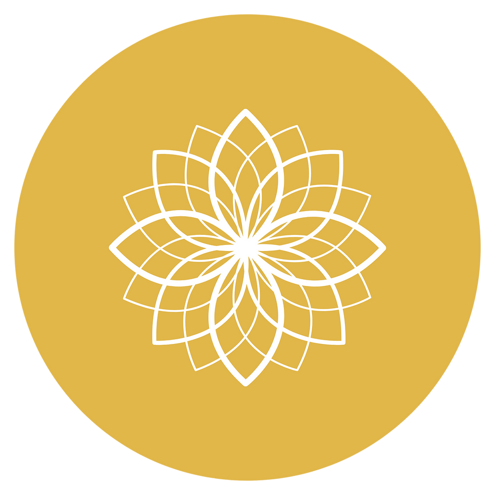 Designed Images HY6.png