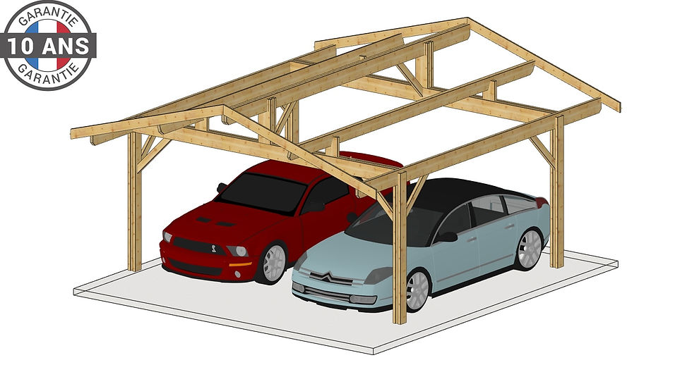 Carport deux pentes 550cm x 600cm, bois DOUGLAS, surface 33 m²