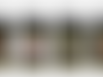 Turning Social Posts Into Direct Pressure on Decision-Makers