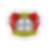 BayerLeverkusen