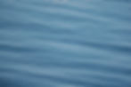 DSCF7720.jpg
