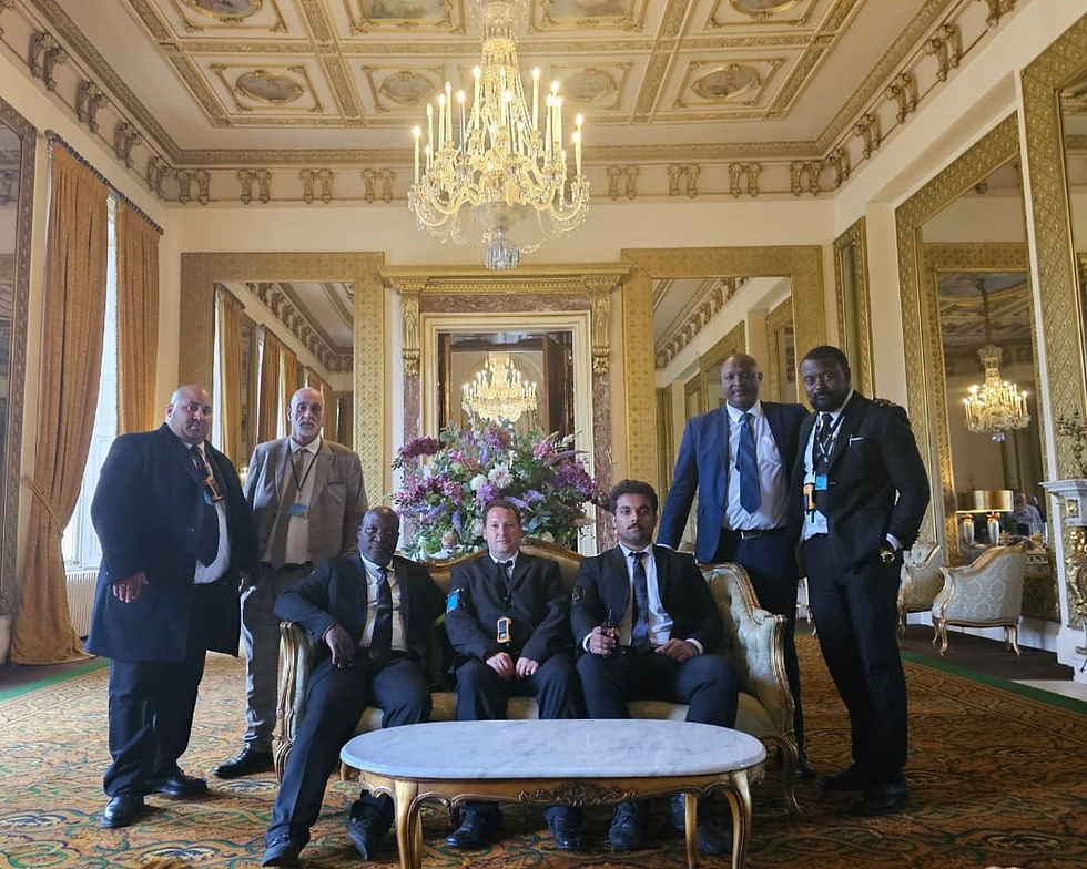 Professional security company