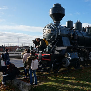 Discovering the train 