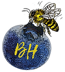 Blue Honey.png