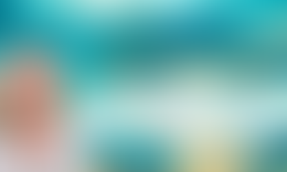 The Exceptional Way in Business and in Life by Angela Moonan