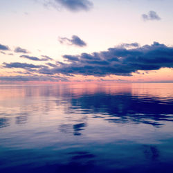 dusk Angela Moonan