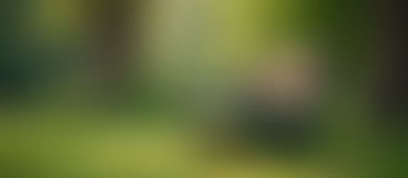 Practical Tips for Living a Balanced Life