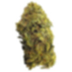 Oil Tanker OG
