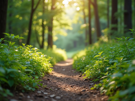 The Importance of Self-Care in Today's Fast-Paced World