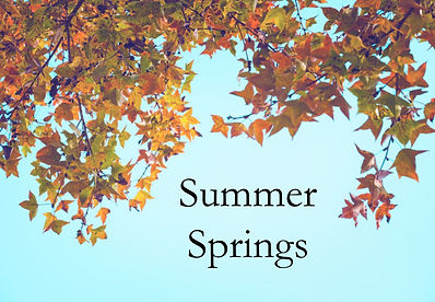 summersprings_logoimage.jpg