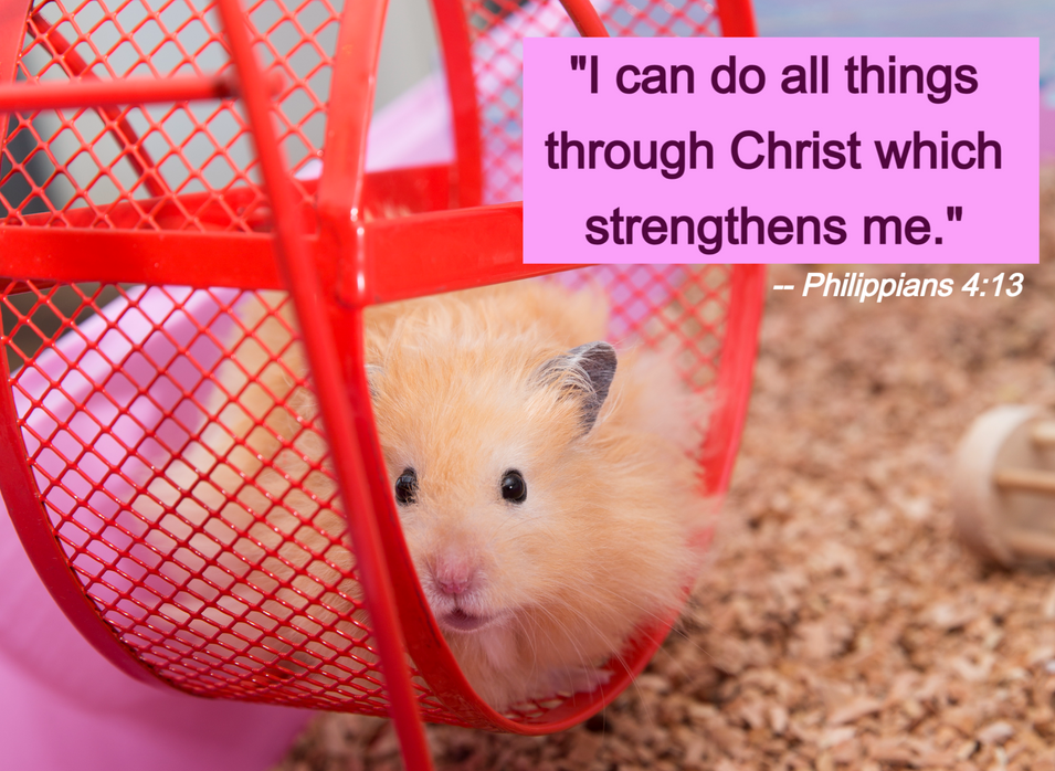 Pet Pawing Forward Bible Verse