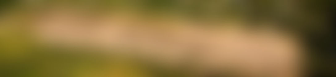 Why a Legal Property Survey is Essential for Every Transaction