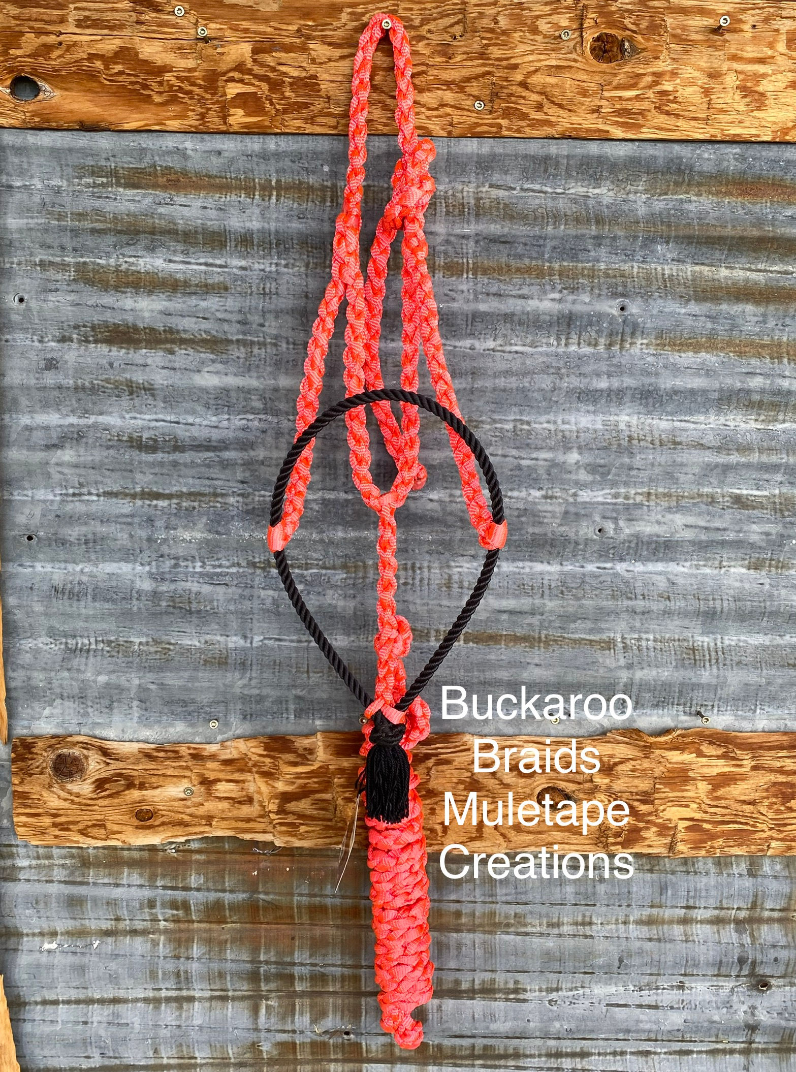 Black and hot pink rope nose halter  