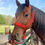 Thumbnail: Red all braided Muletape halter