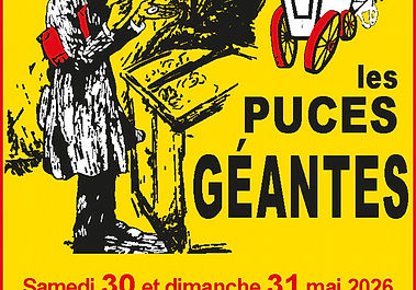 puces geantes Albi brocante vintage mobilier objets collection