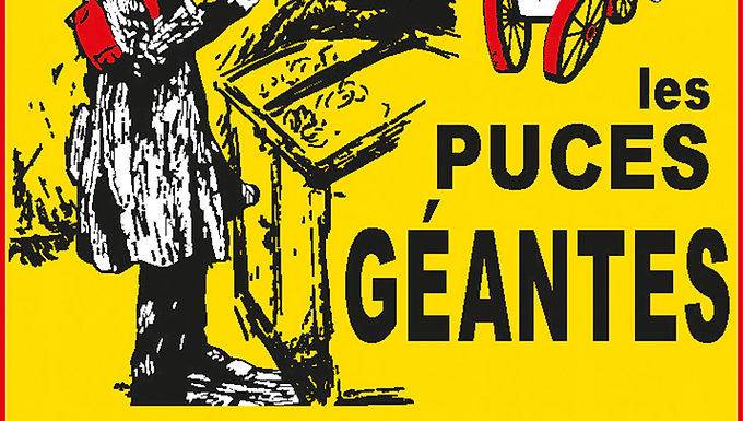 puces-geantes-albi