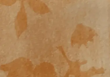 Participants réalisant un anthotype végétal lors d'un atelier au Centre d'art Le Lait à Albi