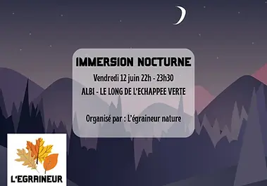 sortie nature nocturne Albi chouettes hiboux foret
