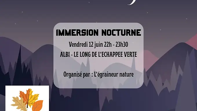 immersion-nocturne-albi