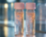 Two transparent medical vials with soft pink caps, filled with a clear jelly-like substance containing delicate, glowing filament-like strands. The vials are placed on a reflective stainless steel surface in a softly lit, clinical lab setting, conveying a sense of advanced biotechnology and regenerative medicine.