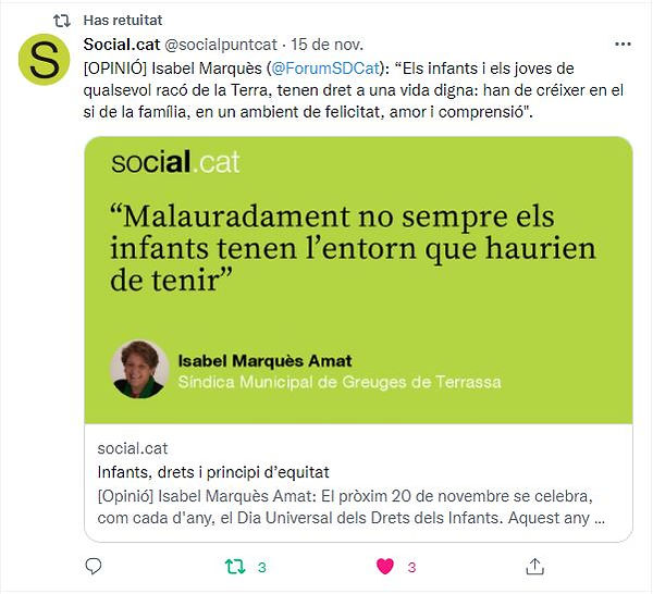 sindica_21twitter_11novembre13.jpg