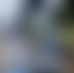 Loren with the Ray on Cairns Esplanade