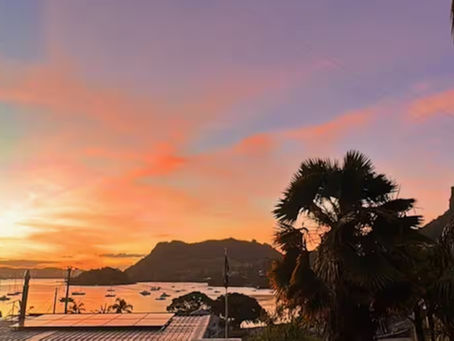 Wild Kiwi Cabin – A Hidden Gem in Whangārei Heads