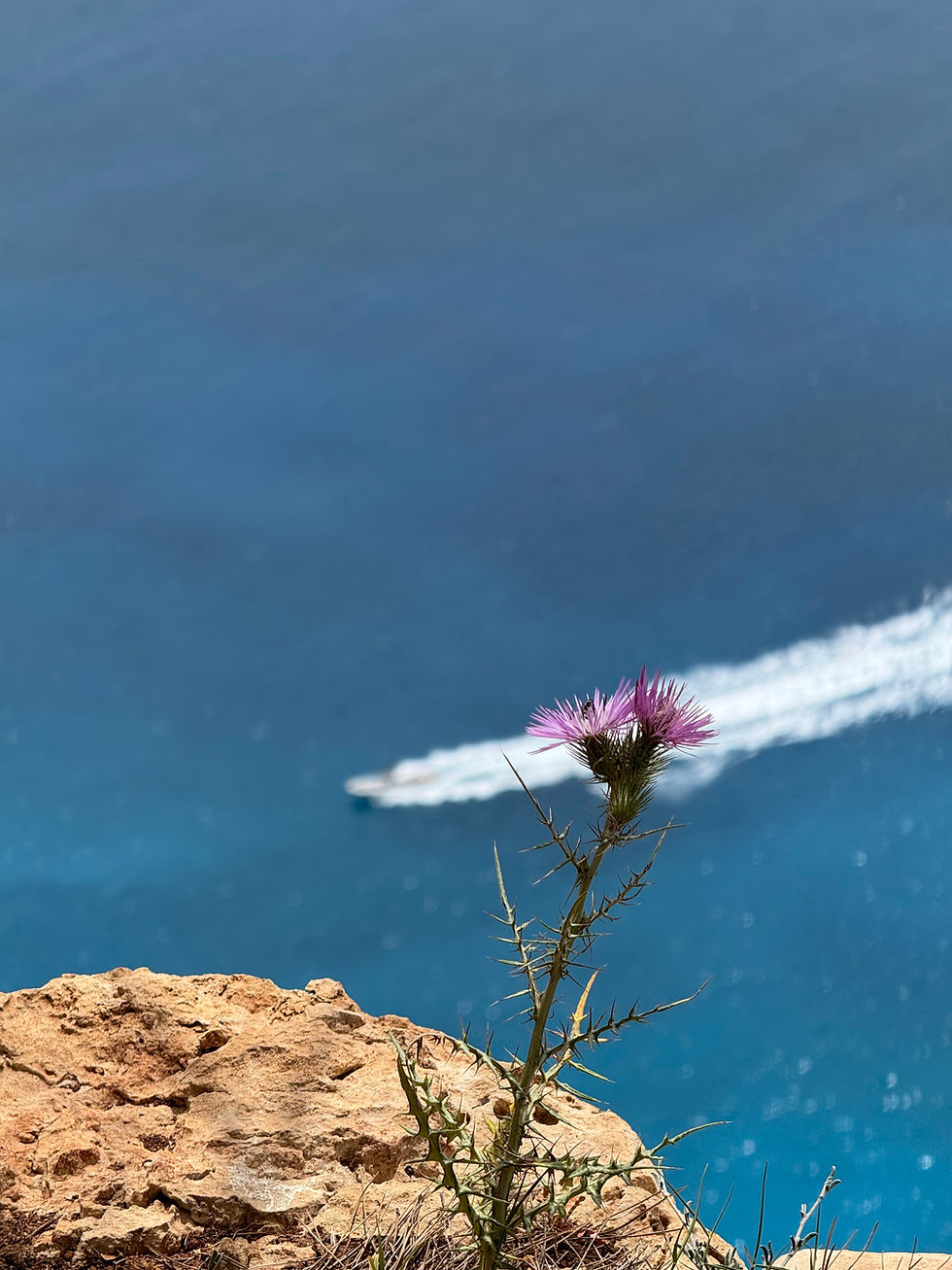 Zakynthos So Far – Beaches, Pool Time & Teenage Girls!