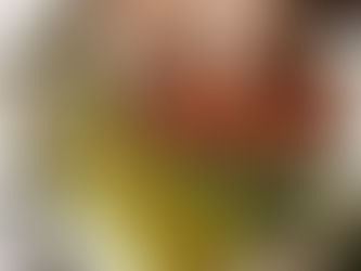 Destination Everyday Recipes – Aotearoa - Meat  - Beef