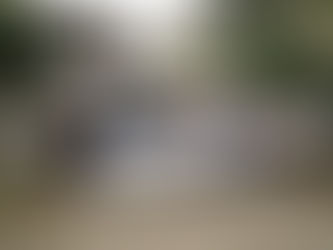 抗議習近平修改憲章