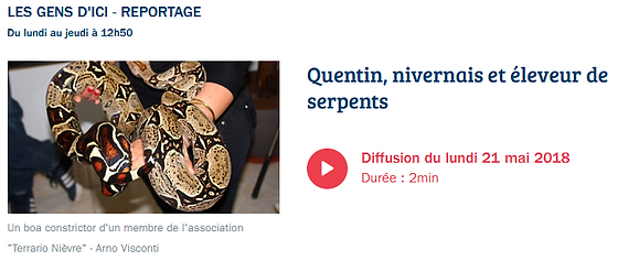 Interview Quentin 2018.PNG