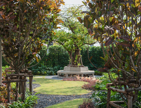 Shaded garden with feature tree as focal point at Setthasiri Thawiwattana.