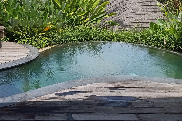 DESCUBRE LAS PILETAS NATURALES