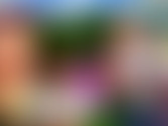 Sims 4 Game Crashing after November 2020 Patch? You're not alone.