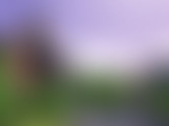 How to Download The Sims 3