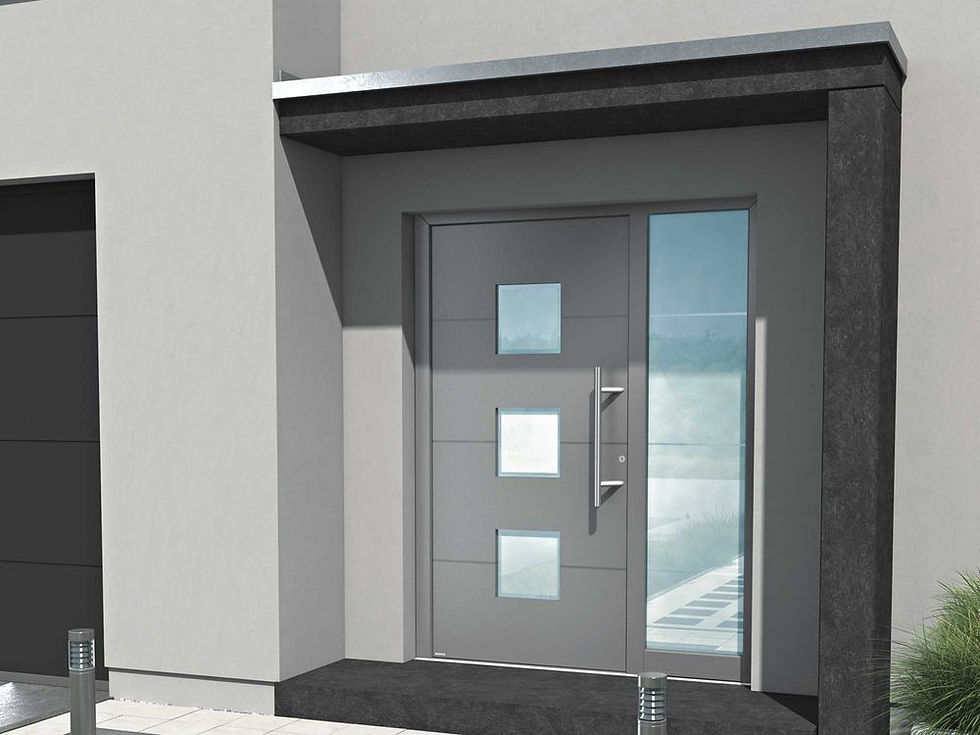 Puerta Peatonal Metálica 2