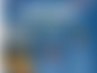 Curso Internacional de Reemplazo Articular  Guayaquil - Ecuador Julio 2019