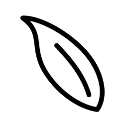 icon-06.webp