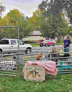 2025BarnDance_Petting_Zoo__edited.jpg