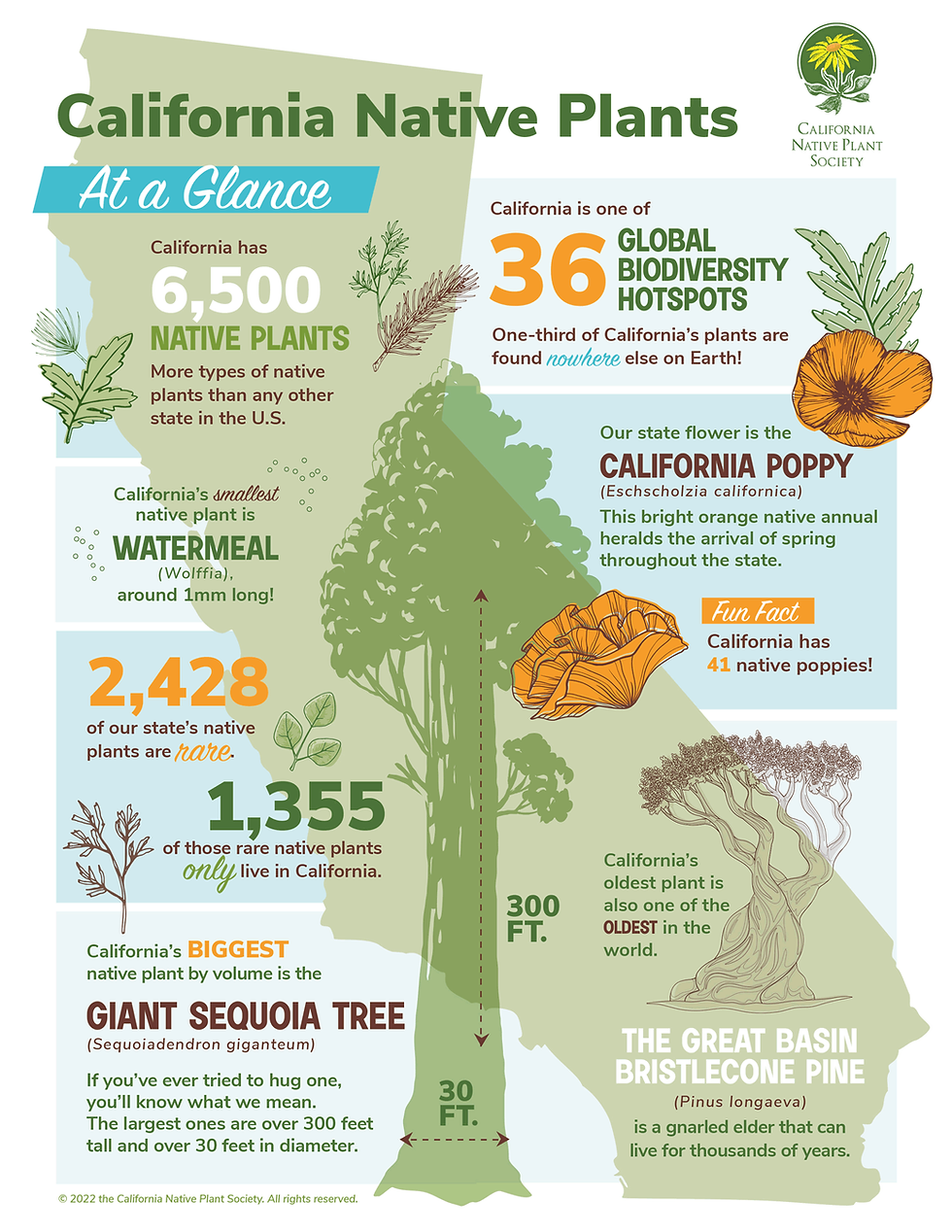 The Power of Planting Native
